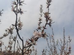 -北京凤凰岭