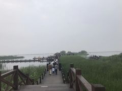 -太湖湖滨国家湿地公园-停车场