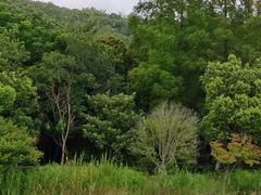 -狼山风景名胜区