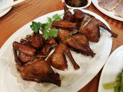 红烧乳鸽-新城餐厅(吉祥北街店)