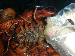 -虾酷 潜江小龙虾(光谷店)