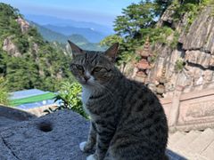 -九华山风景区