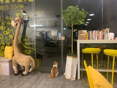 -五进制 Coffee Shop