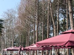-夏河溪乡野公园