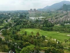 -成都蒲江花样年福朋喜来登度假酒店·宜客乐西餐厅