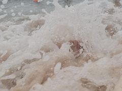 -东戴河风景区