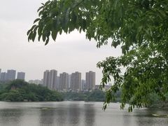 -重庆彩云湖湿地公园