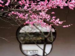 -西安青龙寺遗址景区