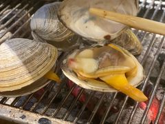 朝鲜海螺-丹东特色烤肉(学府路一部店)