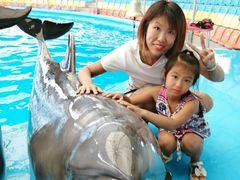 -尼莫海豚馆