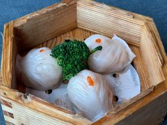 -同禧荟·港味海鲜火锅·粤菜(三亚湾店)