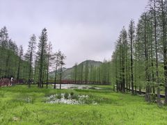 -广州市石门国家森林公园