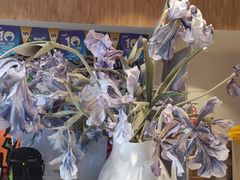 -IBOBI早教·托班·国际家庭互动成长中心(欢乐海岸中心)