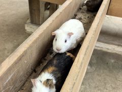 -昆明动物园