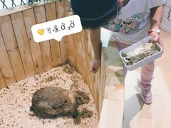 -Mr·Kuma酷么先生雪之乐园