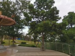 -铁山坪森林公园