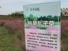 -金卉庄园
