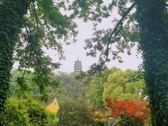 -焦山景区-万佛塔