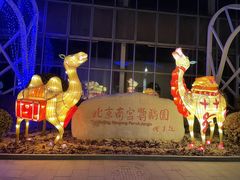 -南宫五洲植物乐园