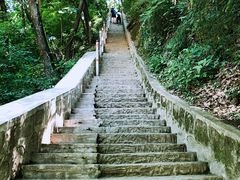 -陕西省红河谷森林公园