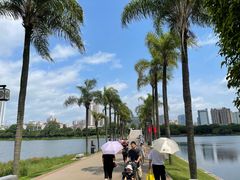 -南宁南湖公园