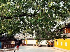 -寒山寺素斋馆