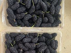 -南京小时候桑葚采摘园