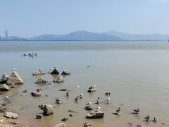 -深圳湾公园(南山区)