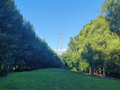 -长白岛森林公园