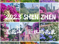 -莲花山公园