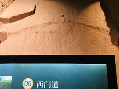 -秦始皇帝陵博物院-丽山园