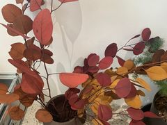 -肥朵食堂(带梦胡同店)