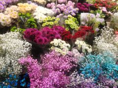 -双季花艺园艺市场(浦东店)