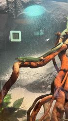 -Zoolung Zoolung动物主题公园(海信广场店)