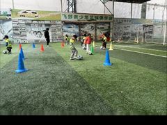 -飞梦少儿足球培训(塘桥校区)