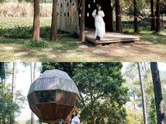 -南宁良凤江国家森林公园