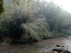 -四洞沟景区