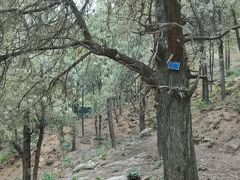 -泰山风景名胜区