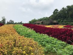 -保利石象湖景区