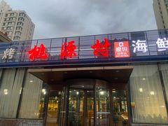 -桃源村铁锅炖鱼(体育馆道店)