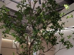 -喜茶(深圳东门1234店)