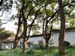 -杭州植物园