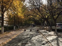 -山东师范大学(千佛山校区)