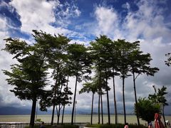 -深圳湾公园(南山区)