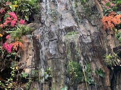 -正佳雨林生态植物园