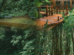 -广州市石门国家森林公园