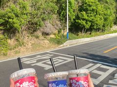 -南澳岛打卡果汁冰公司
