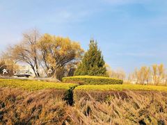 -莲花池公园