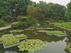 -圩墩遗址公园