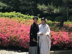 -名古屋城